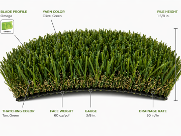 Everglade Fescue artificial grass by Tigerturf (SGW). 1.625-inch pile height and 60 oz/yd² face weight, featuring polyethylene yarn with Omega-shaped blades and 27 oz/yd² polypropylene backing.
